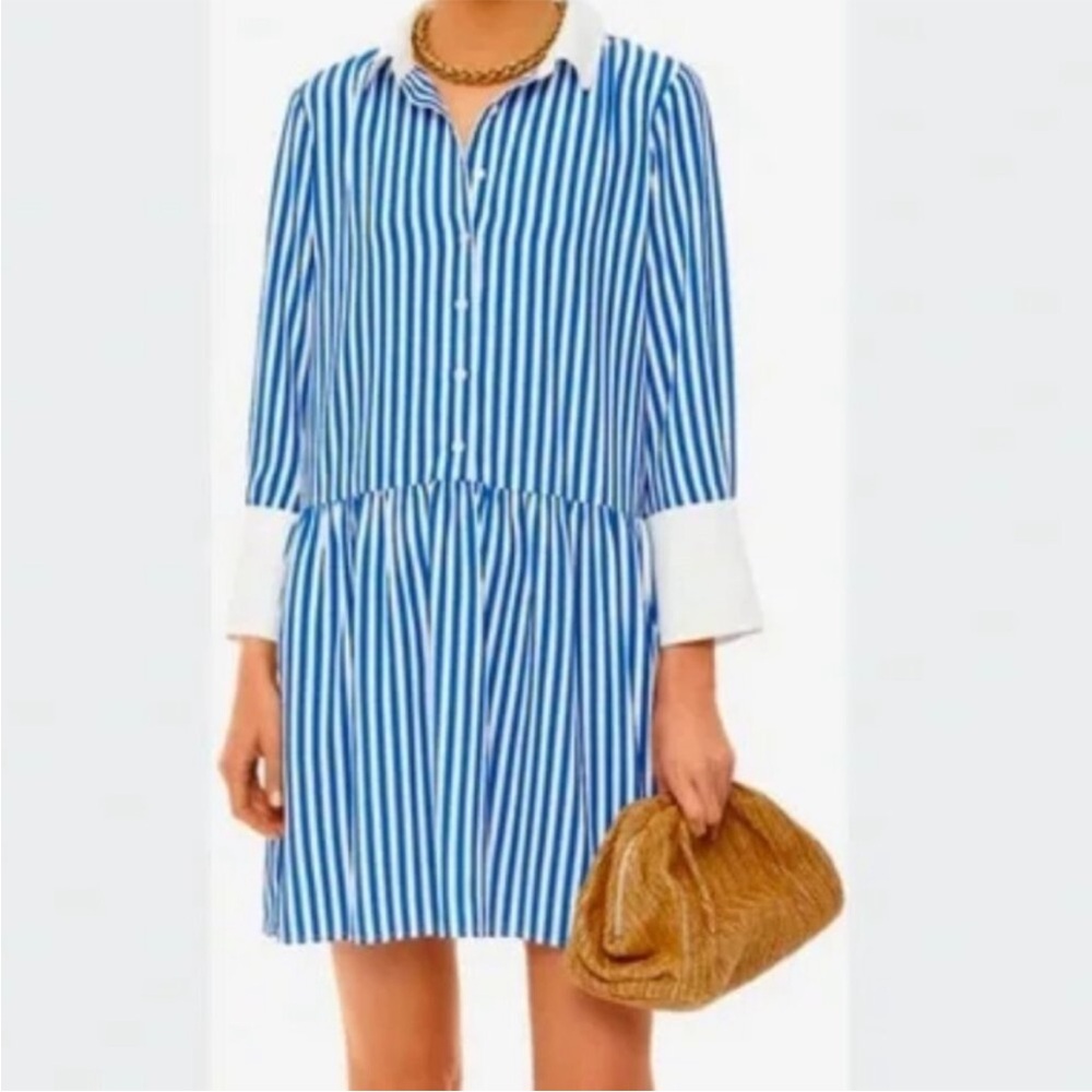 Blue & White stripe Hayes Shirt Dress from Tuckernuck
